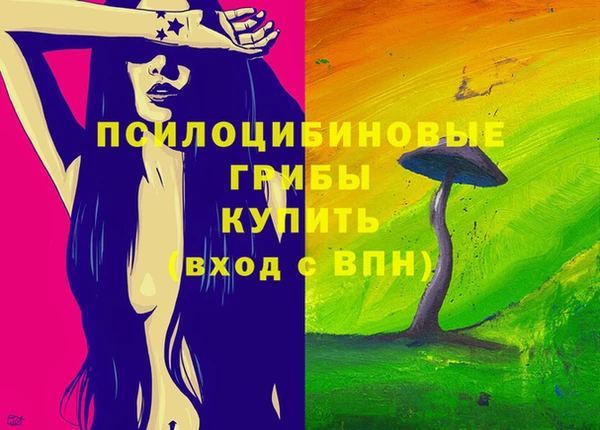 дмт Абаза