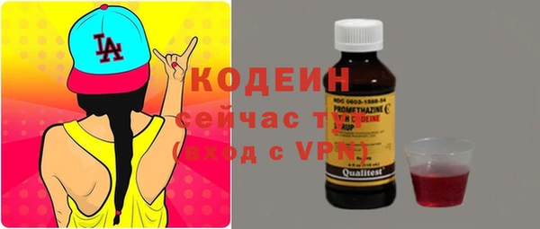 дмт Абаза