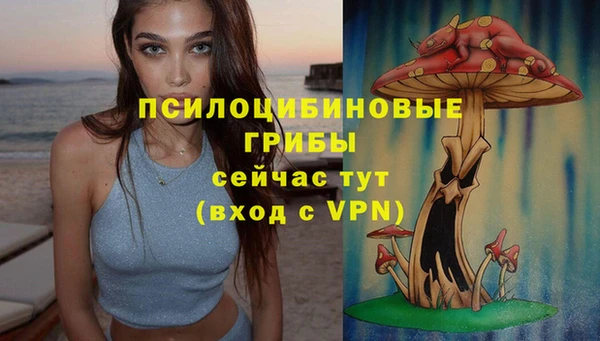 mix Алексеевка