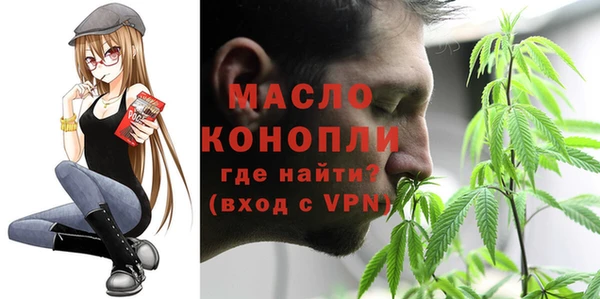 дмт Абаза