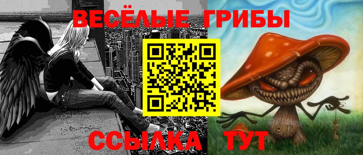 Галлюциногенные грибы Psilocybine cubensis  Вход с VPN  Рославль  Псилоцибиновые грибы Psilocybe 