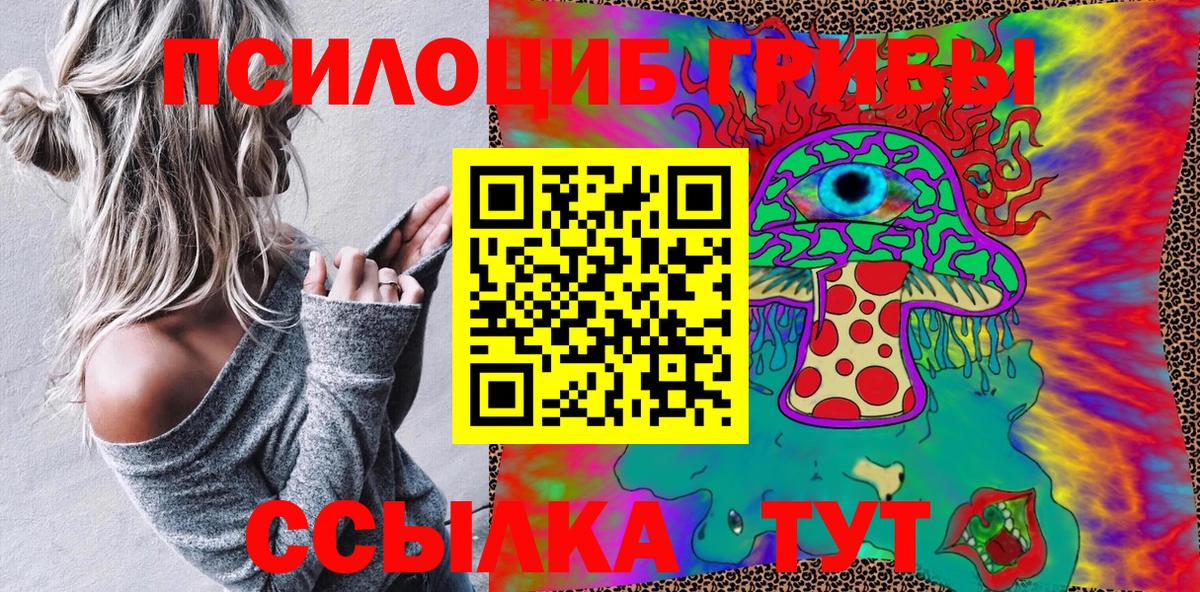 Псилоцибиновые грибы Psilocybine cubensis Рославль
